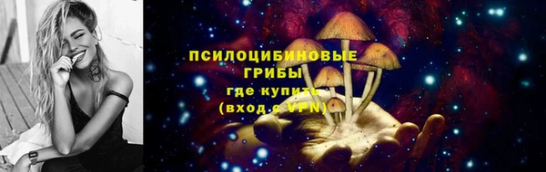 СК Абинск